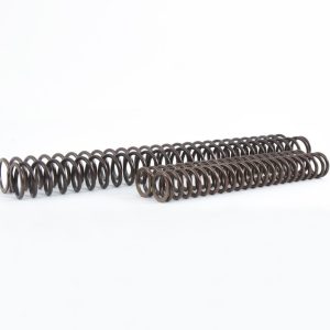 Ohlins Spr,Fr.fork 40/246/9.0 taper****